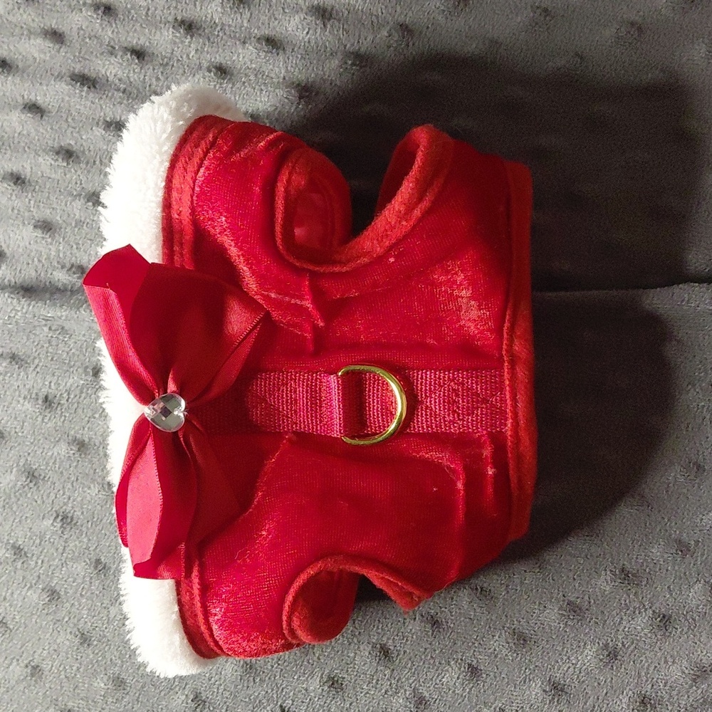 Colorful Dog Accessory Set - Picture 7 of 8